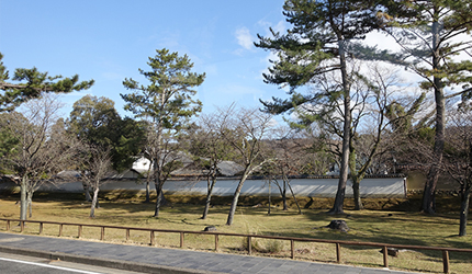 若草山+春日山原始林
