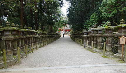 春日大社