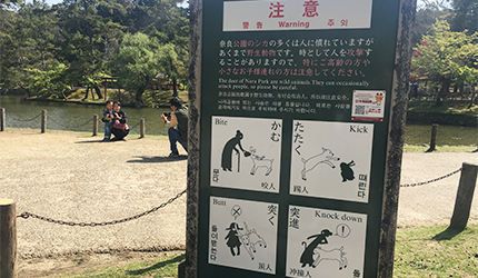 奈良自由行經典名勝奈良交通巴士