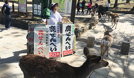 奈良自由行經典名勝奈良交通巴士